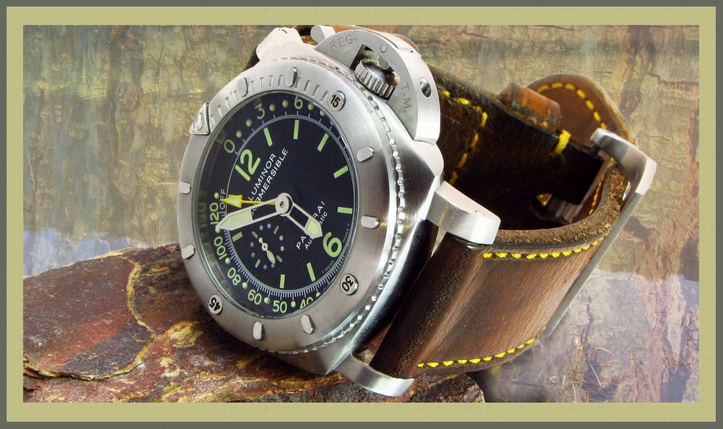 PAM3489-1024.jpg