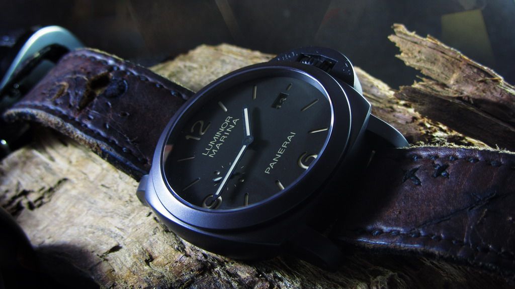 PAM3_3428.jpg