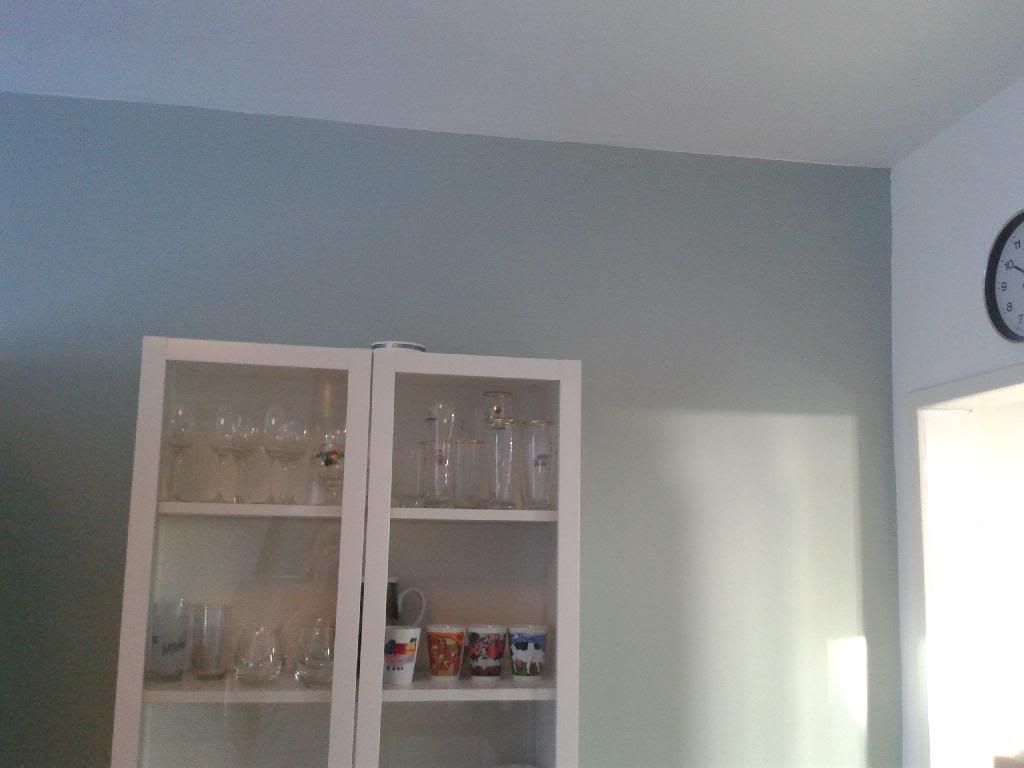 Zeg maar yes • welke kleur op de muur?