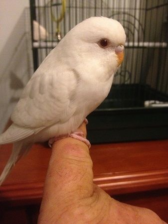 808f28da-30d6-494b-a9be-a599e35a413e_zps8c806418.jpg?t=1368607283