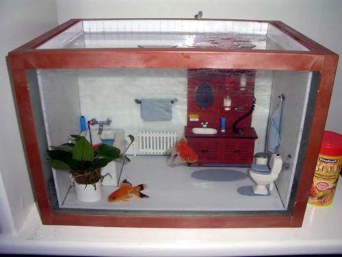 bathroom-fish-tank_zps2e688eb6.jpg